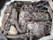 2023 Nissan URVAN 4 PTS AMPLIA VENTANAS TM5
