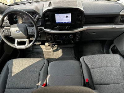 2023 Ford F-150 4P XL CREW CAB 4X2 V63.3 AUT