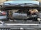 2020 RAM 1500 4 PTS CREW CAB SLT V6 36L TA 4X4